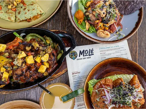 A spread of dishes at Molé Restaurant including grilled meat, quesadilla, and ceviche