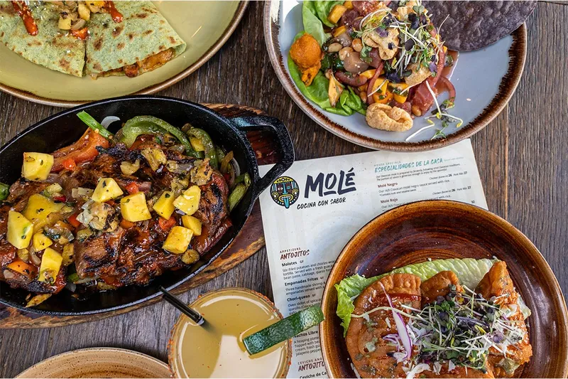 A spread of dishes at Molé Restaurant including grilled meat, quesadilla, and ceviche
